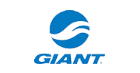 brand-giant